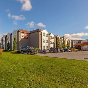 Best Western Plus Rose City Suites